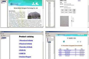 專業武漢影視制作與網站建設服務 全方位助力企業品牌發展