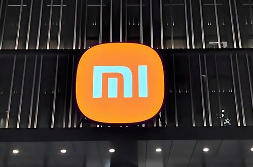 小米汽車上市首日退改訂單達469例 背后問題探析與武漢企業網站建設的啟示