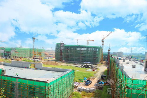 助力武漢城市圈民生同保 首衡集團打造華中最大農產品保供基地